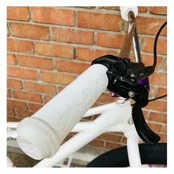 Se-bikes Custom SE BIKES Monster Quad 29+ Artic White 2022 -bike shop custom se bikes monster quad 29 artic white 2022 10