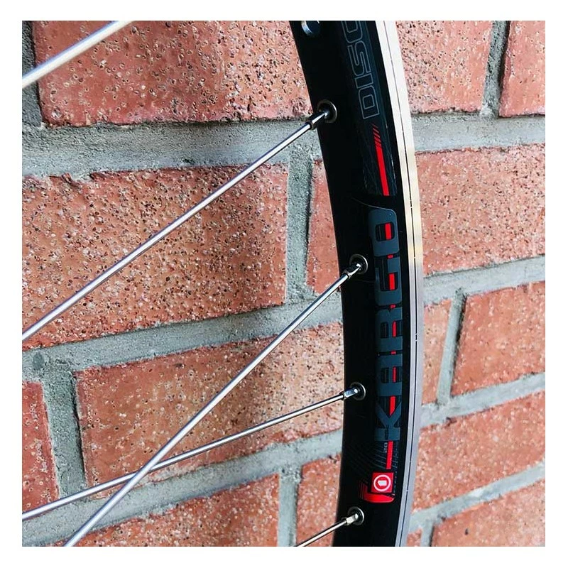 BIKELIFE Roue Arrière Custom SeBike 29 Pouces 10v - Wheeling Bike 5 BIKELIFE Roue Arrière Custom SeBike 29 Pouces 10v - Wheeling Bike - Image 5