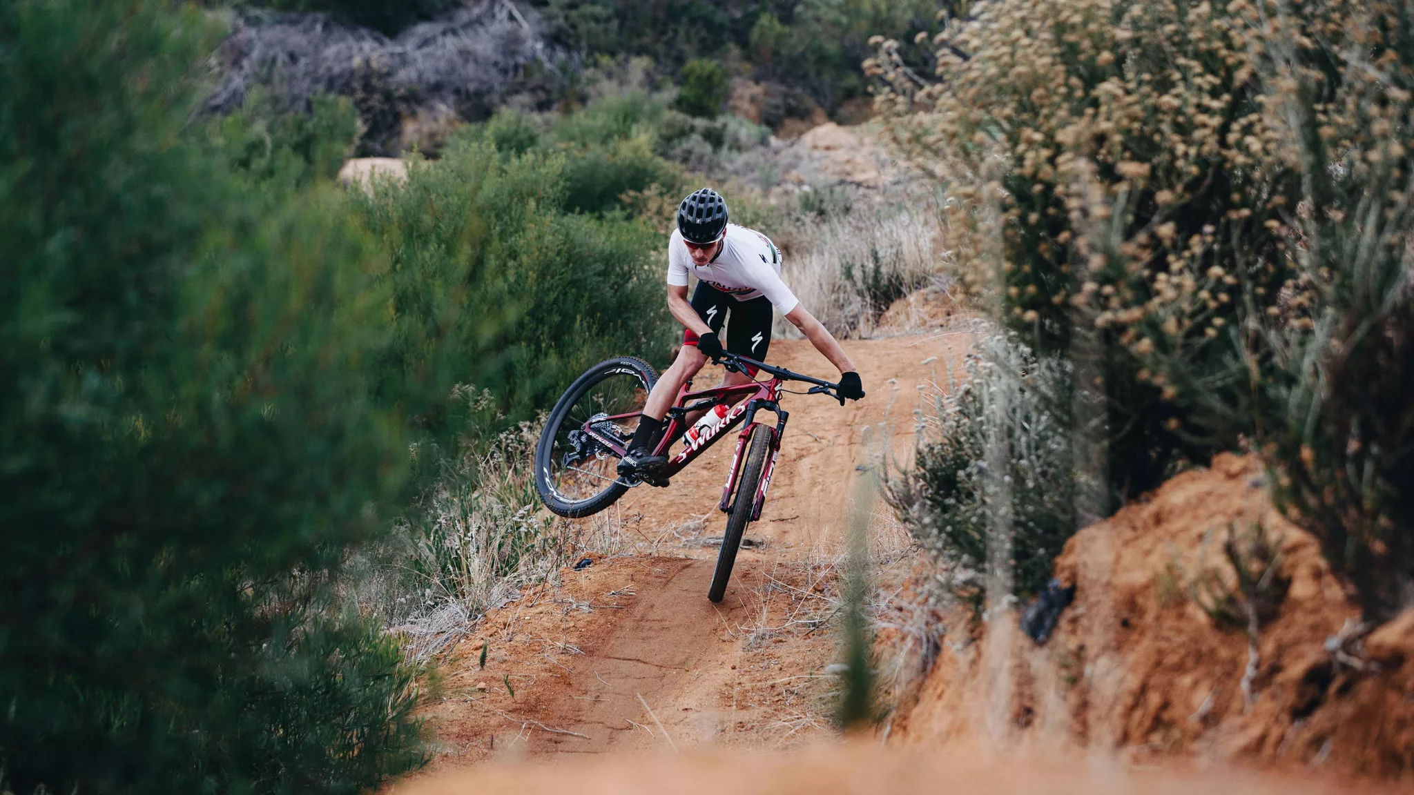 bike shop -bike shop 04 MTB 2197 EpicCarousel 2880x1620 03 scaled 1